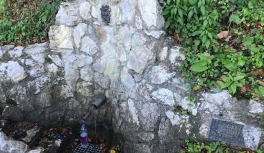 Je voda v celjskih studencih varna za pitje?