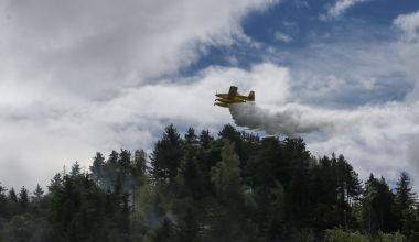Od piknika v gozdu do požara in ovadbe