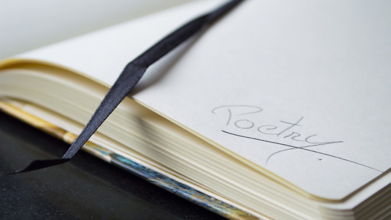 Mala Veronika 2020 v Celje