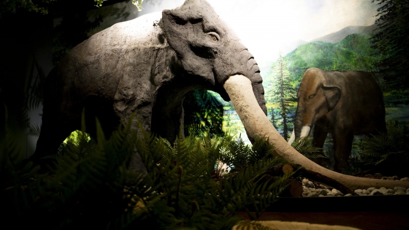 »Raztrobi povsod, mastodont spet je tod!«
