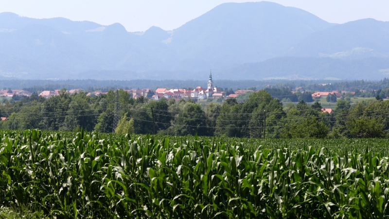 »Ceneje je odstopiti kot nadaljevati« 