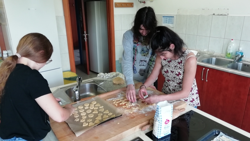 Razočaranje zaradi prekinjenega programa Pum-o 
