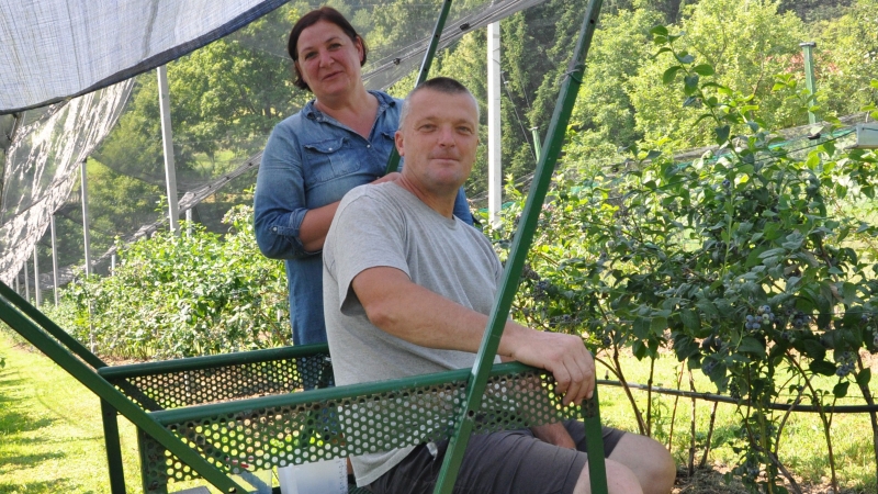 Pobočja sočnih in hrustljavih dobrot