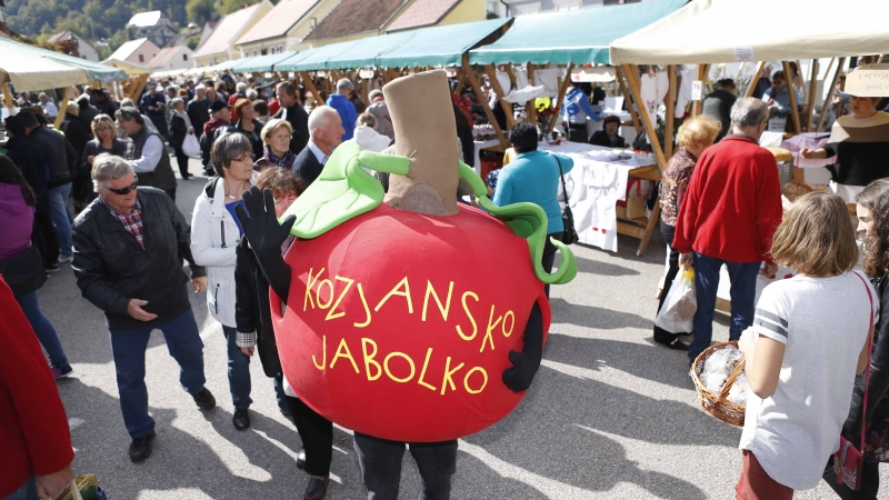 Začenja se 24. praznik kozjanskega jabolka