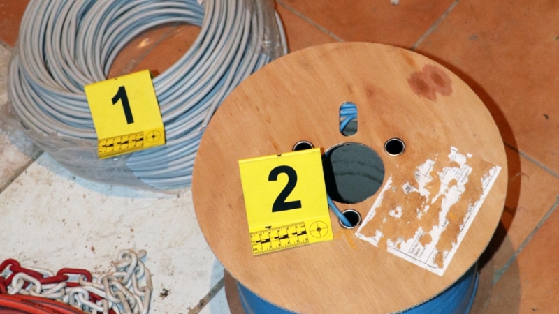 Prijeli hudodelsko združbo 