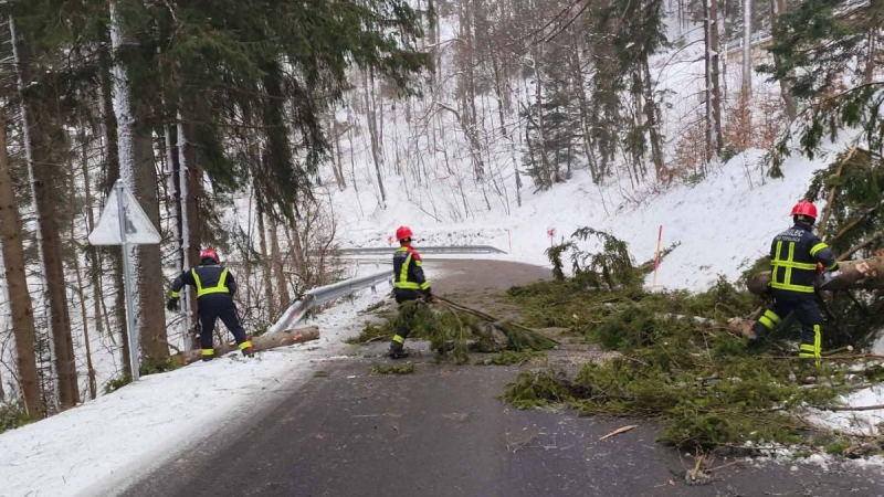 Močan veter podiral drevesa in odkrival strehe