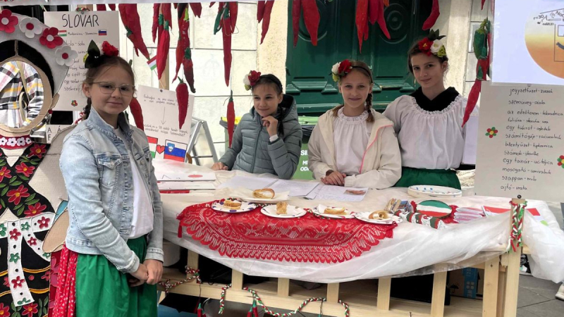 Evropska vas v knežjem mestu